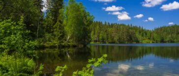 norway forest and lake